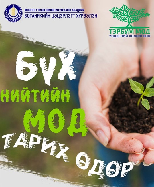 БҮХ НИЙТИЙН МОД ТАРИХ ҮНДЭСНИЙ ӨДРИЙГ ТОХИОЛДУУЛАН БОТАНИКИЙН ЦЭЦЭРЛЭГТ ...